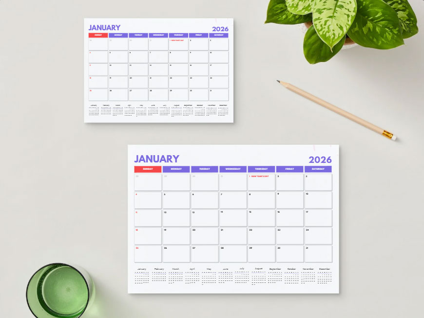 The Professional Home CEO | Ultimate 2026 Household Management Binder - Image 7